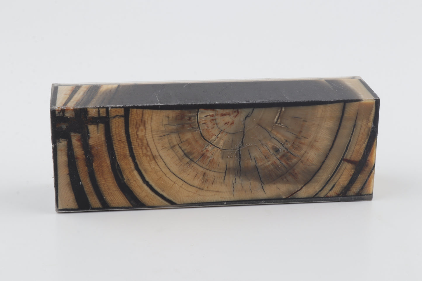 Stabilised mammoth ivory block