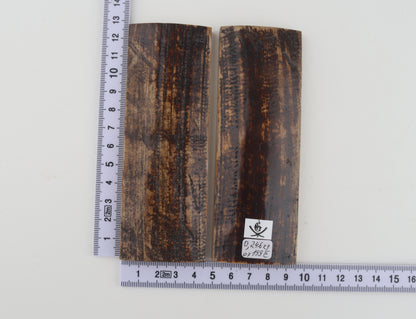 Natural mammoth bark scales