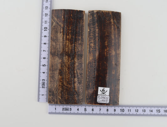 Natural mammoth bark scales