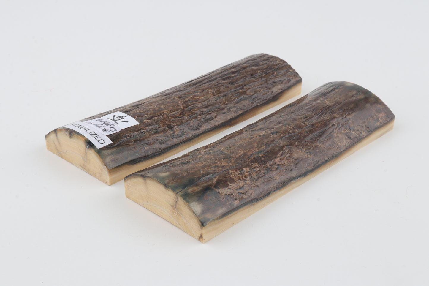 Stabilized mammoth bark scales