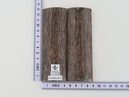 Stabilized mammoth bark scales