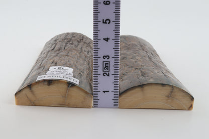 Stabilized mammoth bark scales