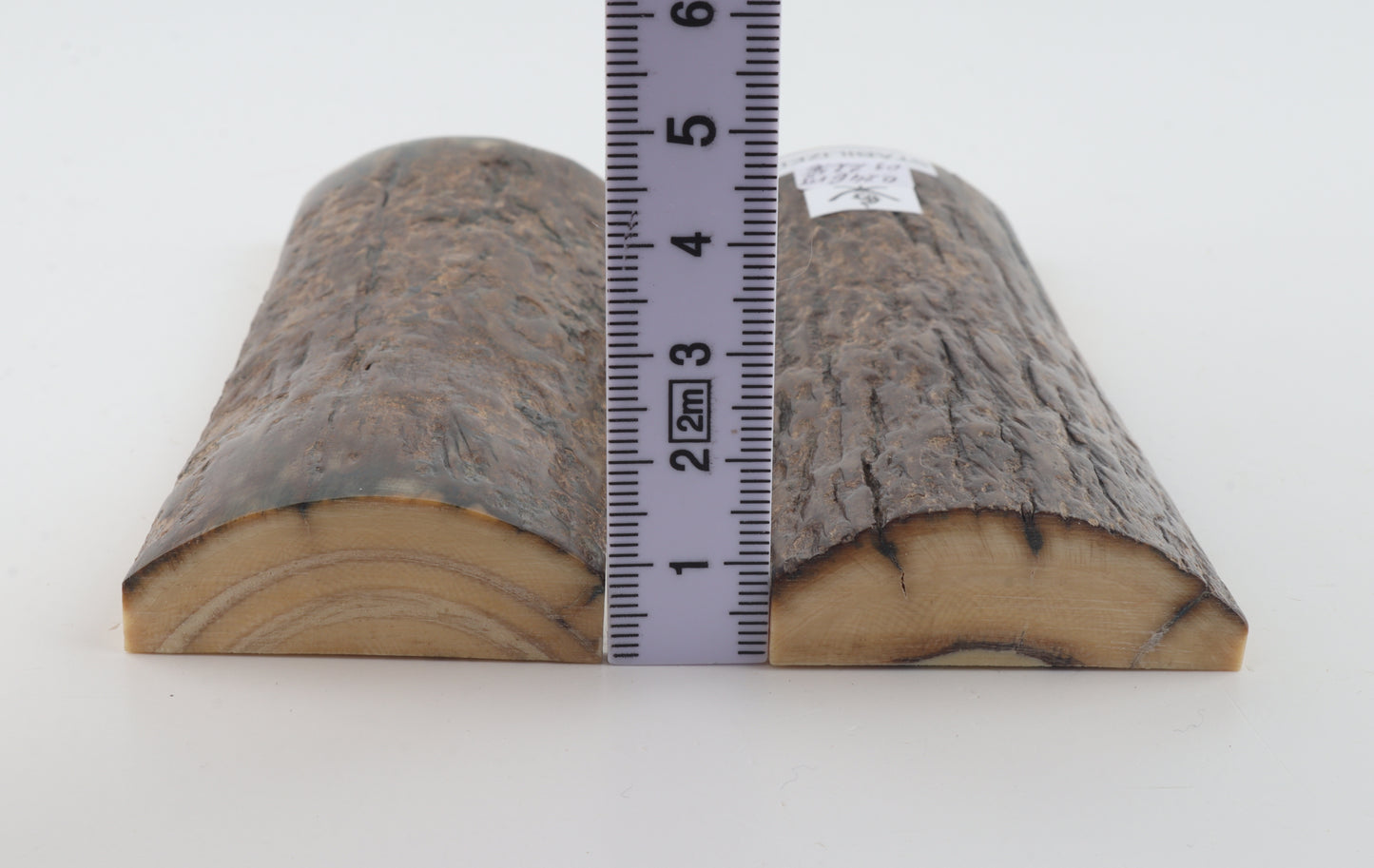 Stabilized mammoth bark scales
