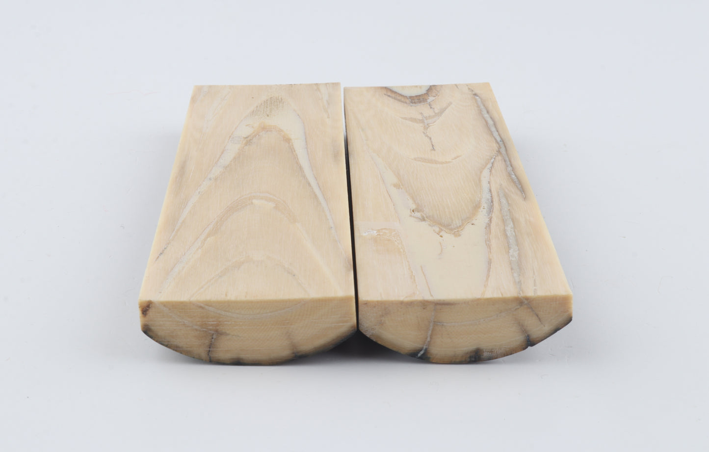 Stabilized mammoth bark scales