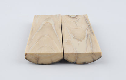 Stabilized mammoth bark scales