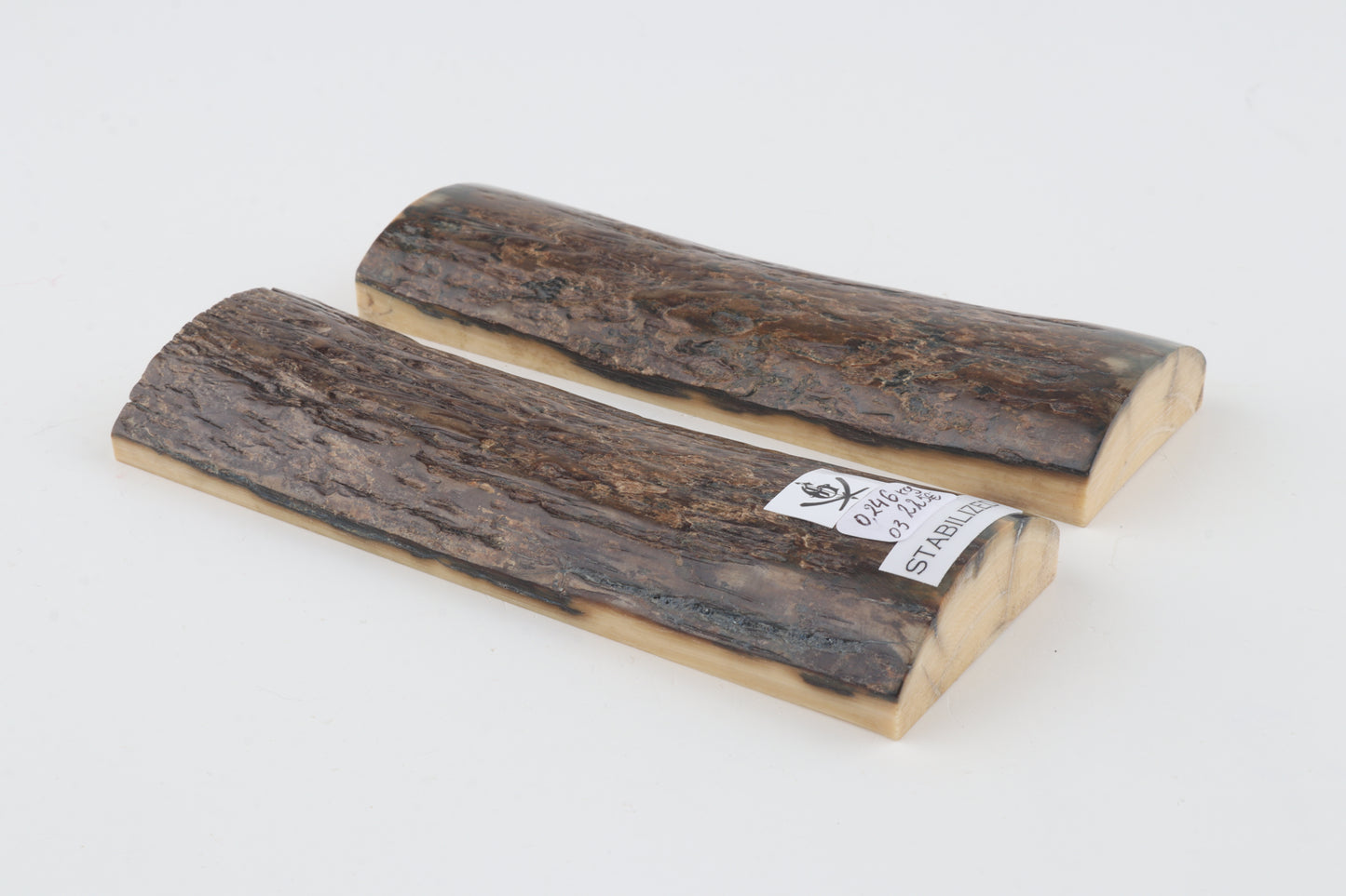 Stabilized mammoth bark scales