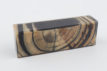 Stabilized mammoth ivory block