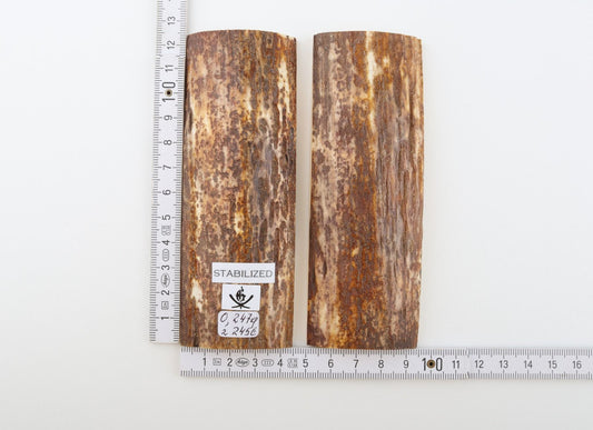 Stabilized mammoth bark scales