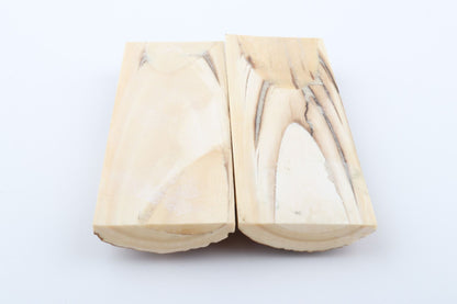 Stabilized mammoth bark scales
