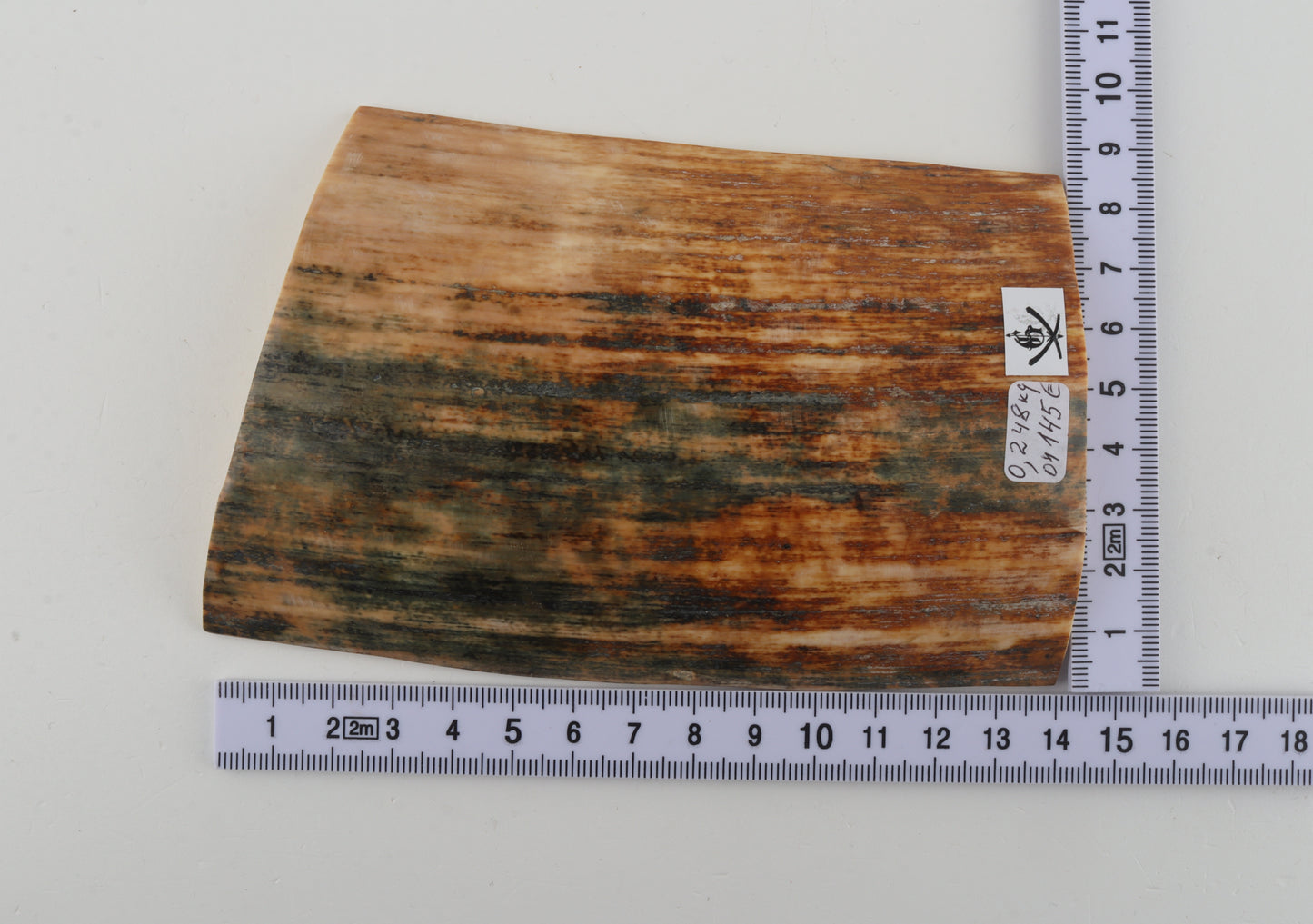 Orange-blue mammoth bark