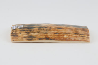 Orange-blue mammoth bark