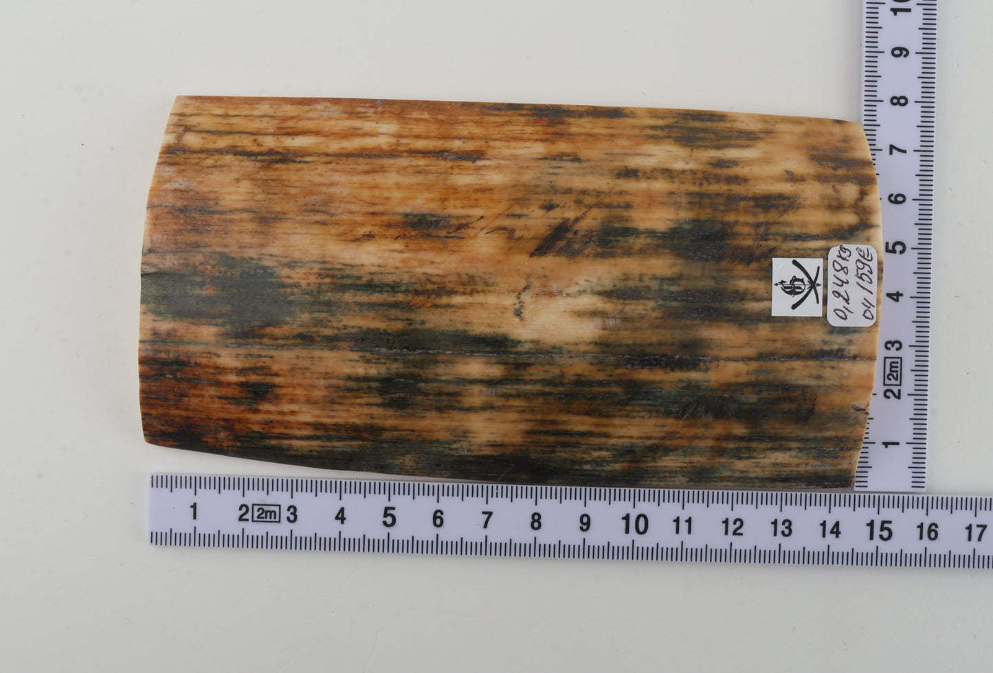 Orange-blue mammoth bark