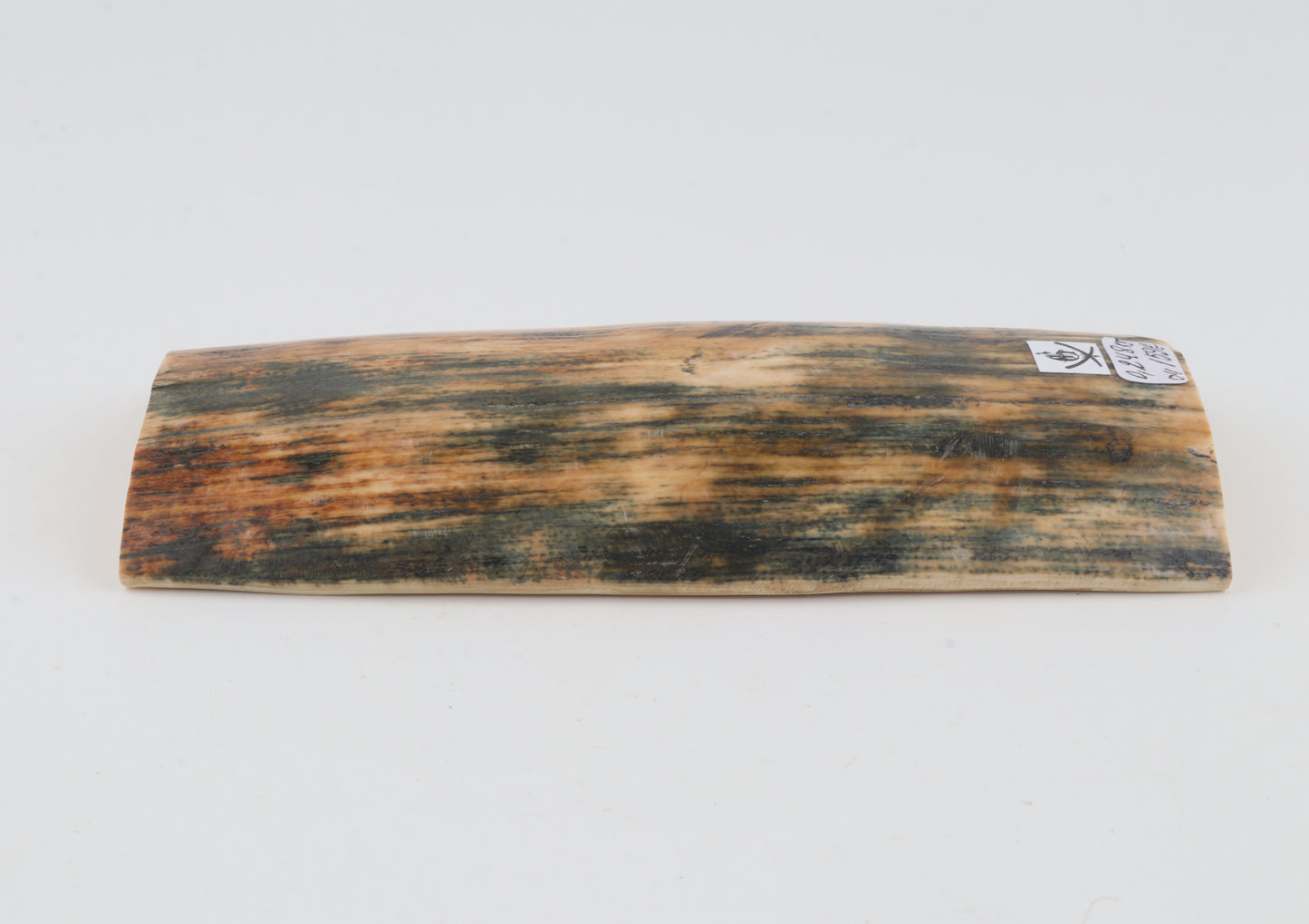 Orange-blue mammoth bark