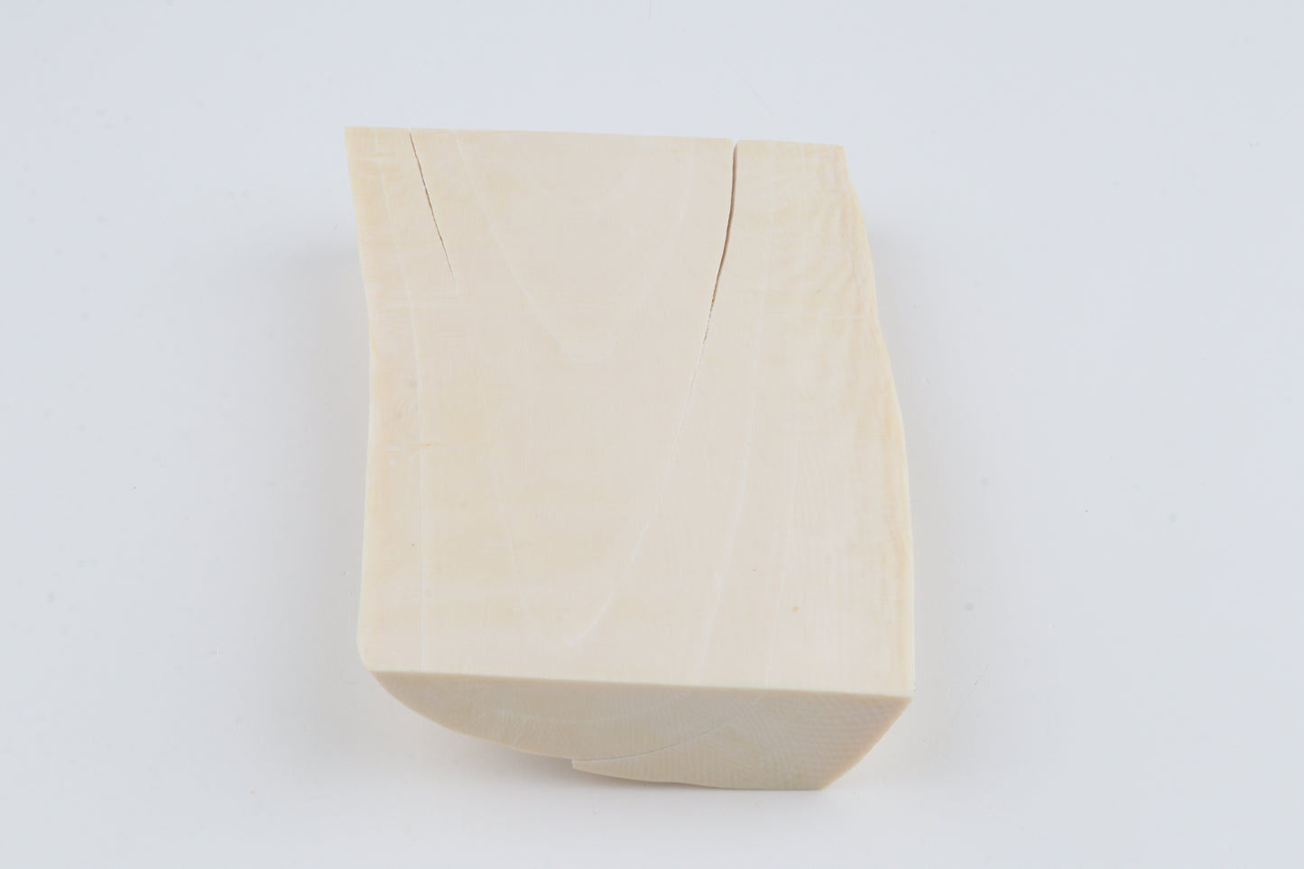 White mammoth ivory segment