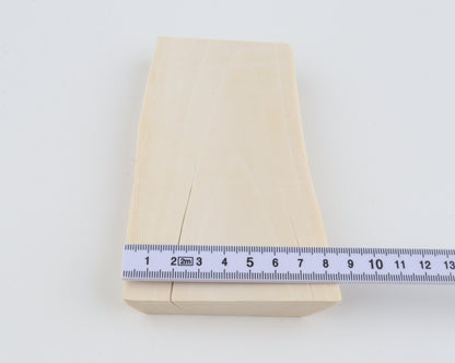 White mammoth ivory segment