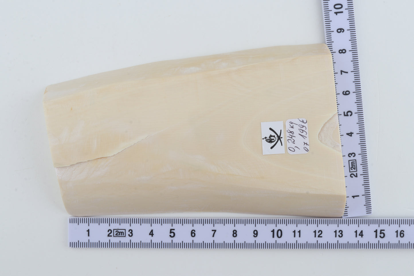 White mammoth ivory segment