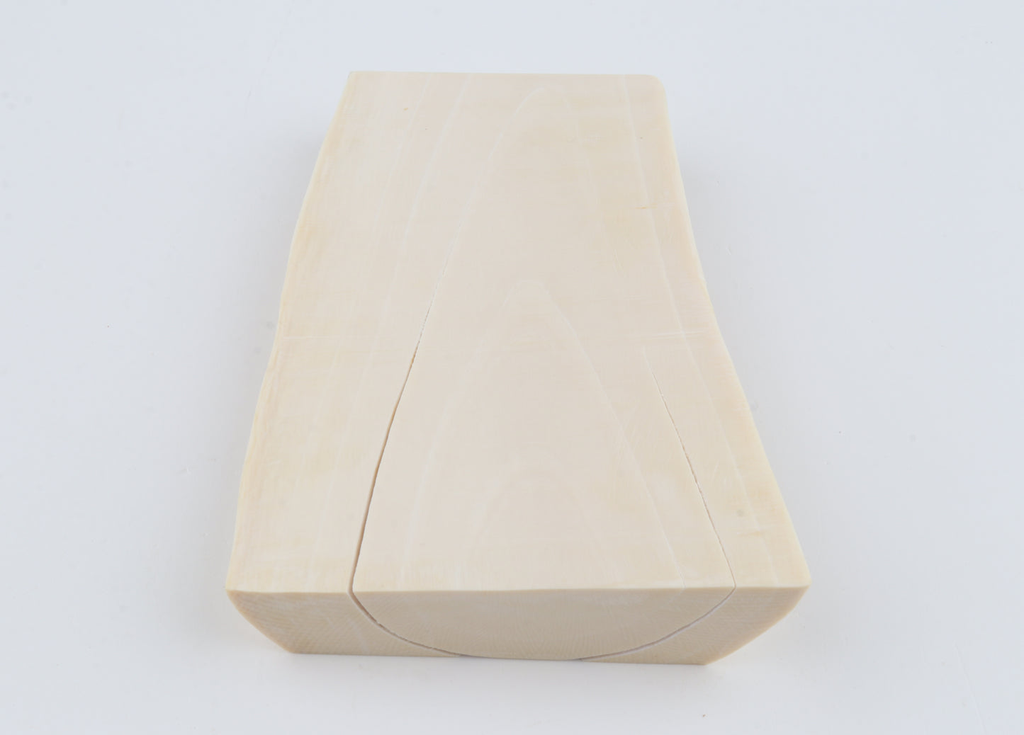 White mammoth ivory segment