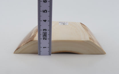 White mammoth ivory segment