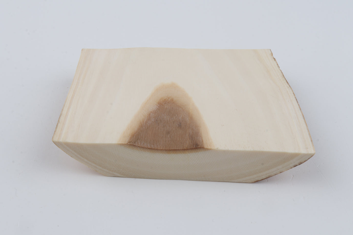 White mammoth ivory segment