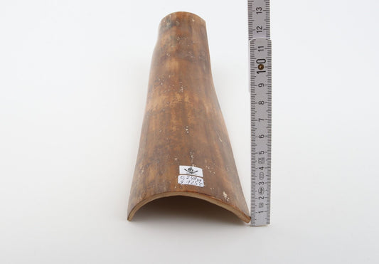 Caramel mammoth bark