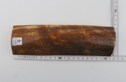 Natural mammoth bark