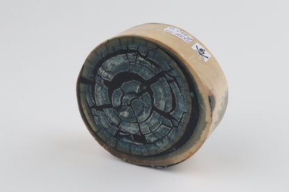 Stabilized mammoth ivory block