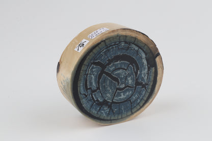 Stabilized mammoth ivory block