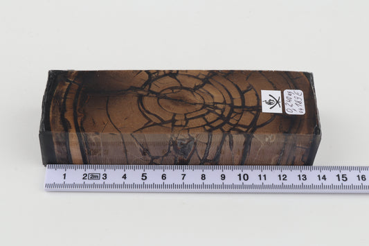 Stabilized mammoth ivory block