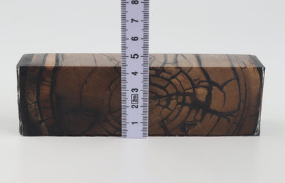 Stabilized mammoth ivory block