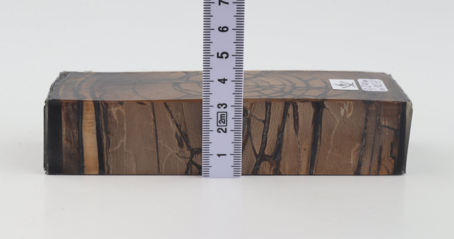 Stabilized mammoth ivory block