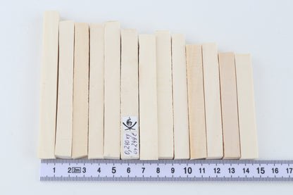 White mammoth ivory segments