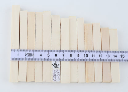 White mammoth ivory segments