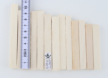 White mammoth ivory segments