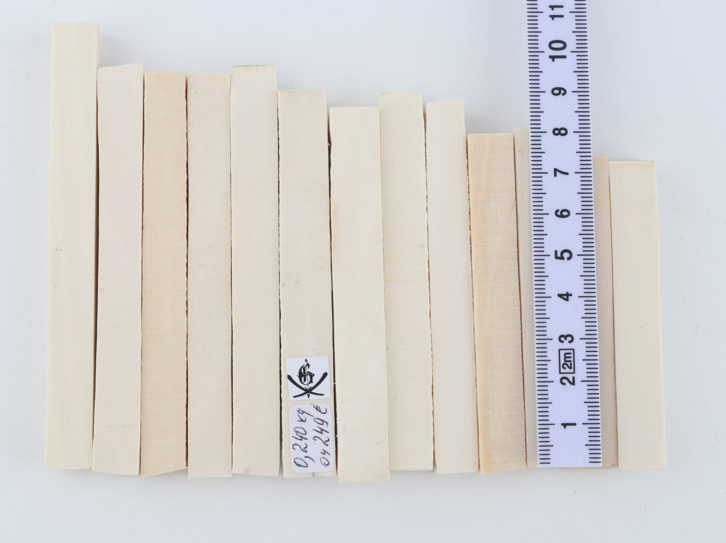 White mammoth ivory segments