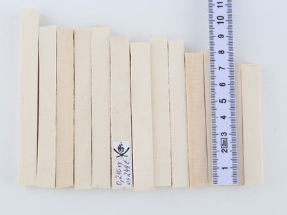 White mammoth ivory segments