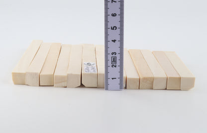 White mammoth ivory segments