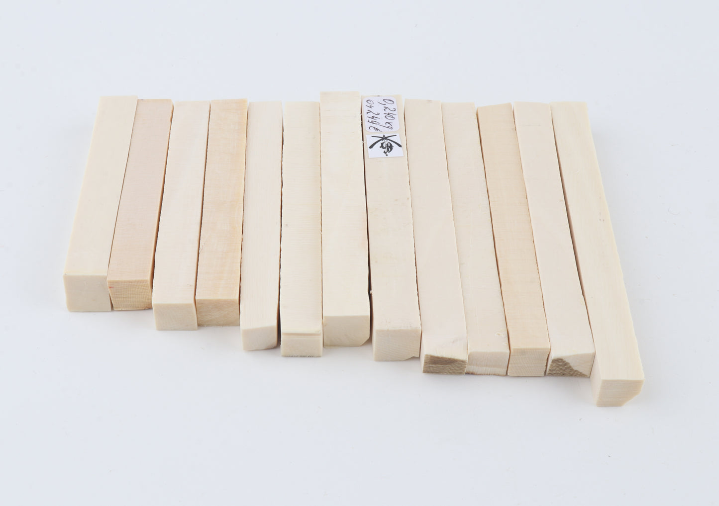 White mammoth ivory segments