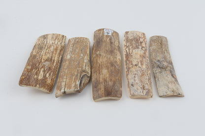 Natural mammoth bark pieces