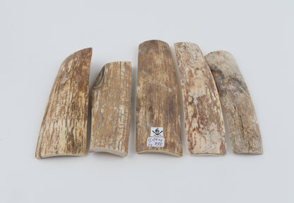 Natural mammoth bark pieces