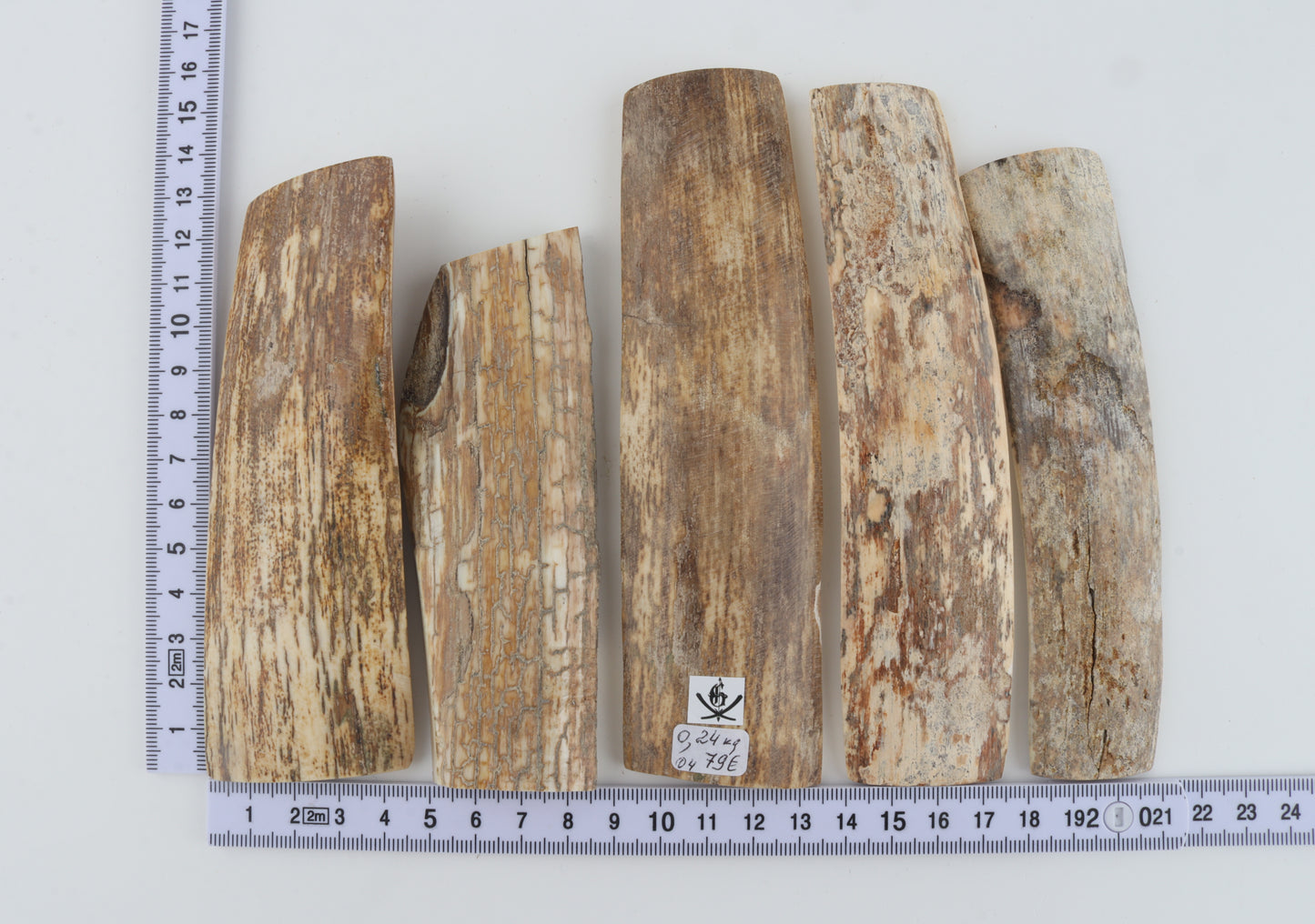 Natural mammoth bark pieces