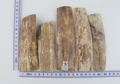 Natural mammoth bark pieces
