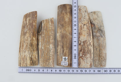 Natural mammoth bark pieces