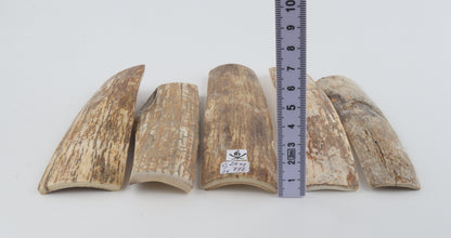 Natural mammoth bark pieces