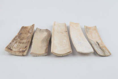 Natural mammoth bark pieces