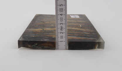 Stabilized mammoth molar scales