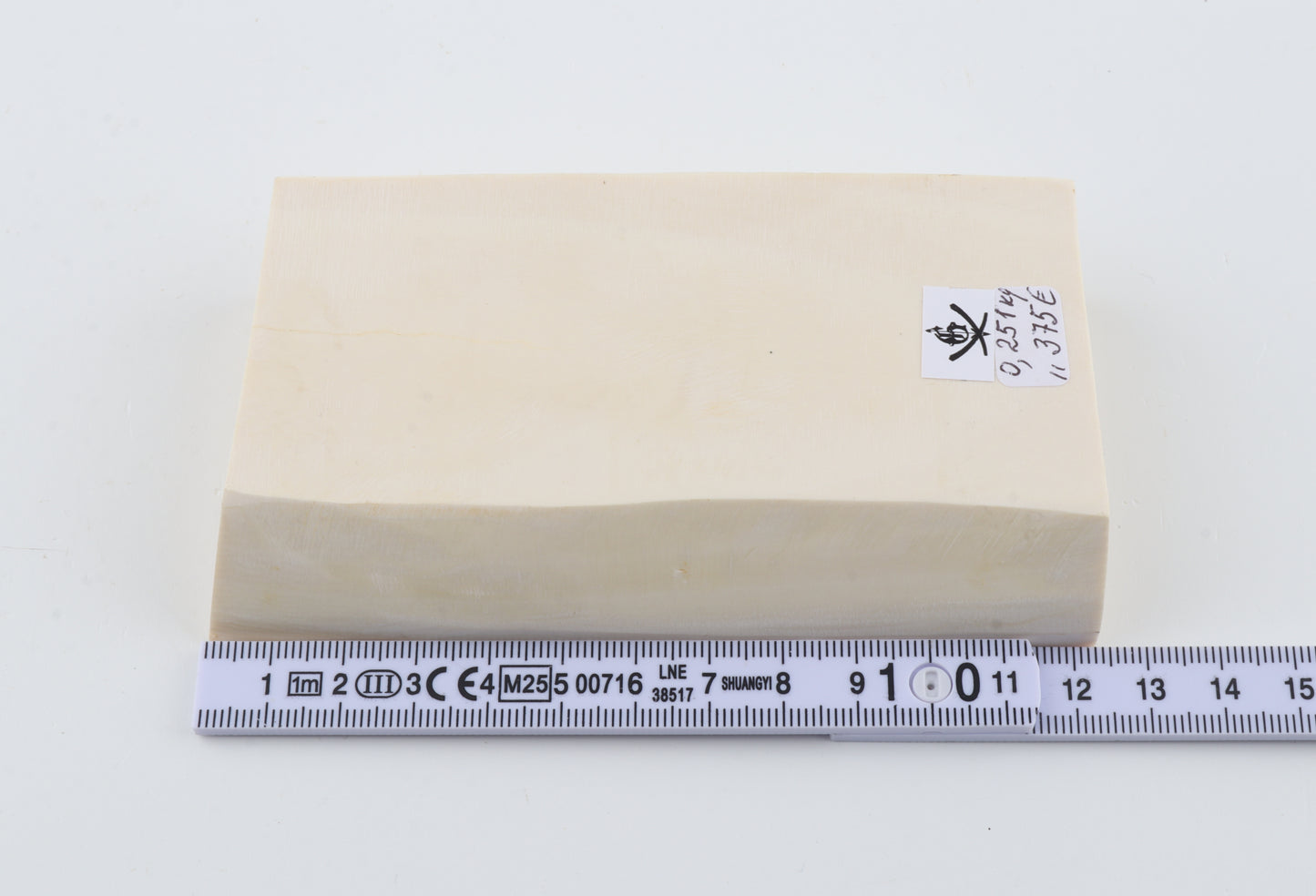 White mammoth ivory segment