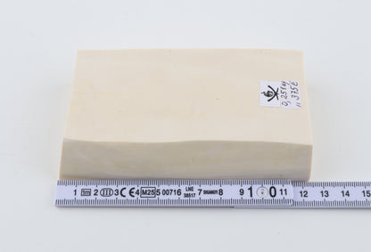 White mammoth ivory segment