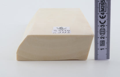 White mammoth ivory segment