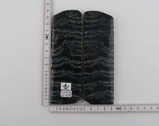 Stabilized mammoth molar scales