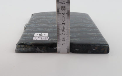 Stabilized mammoth molar scales